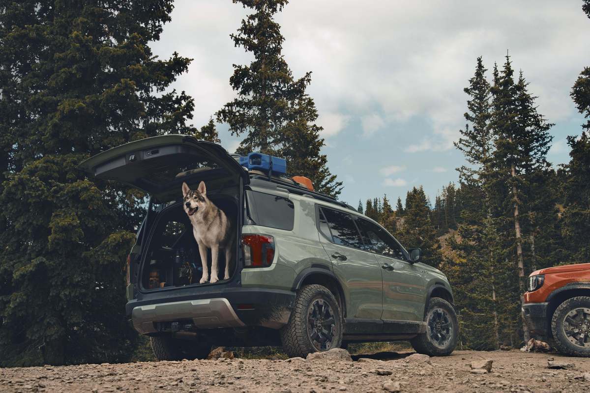 Terrific Best Suv For Dogs 2022 Gallerynull