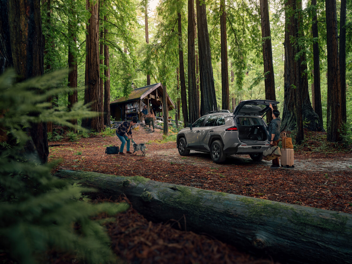 2026 RAV4 Woodland