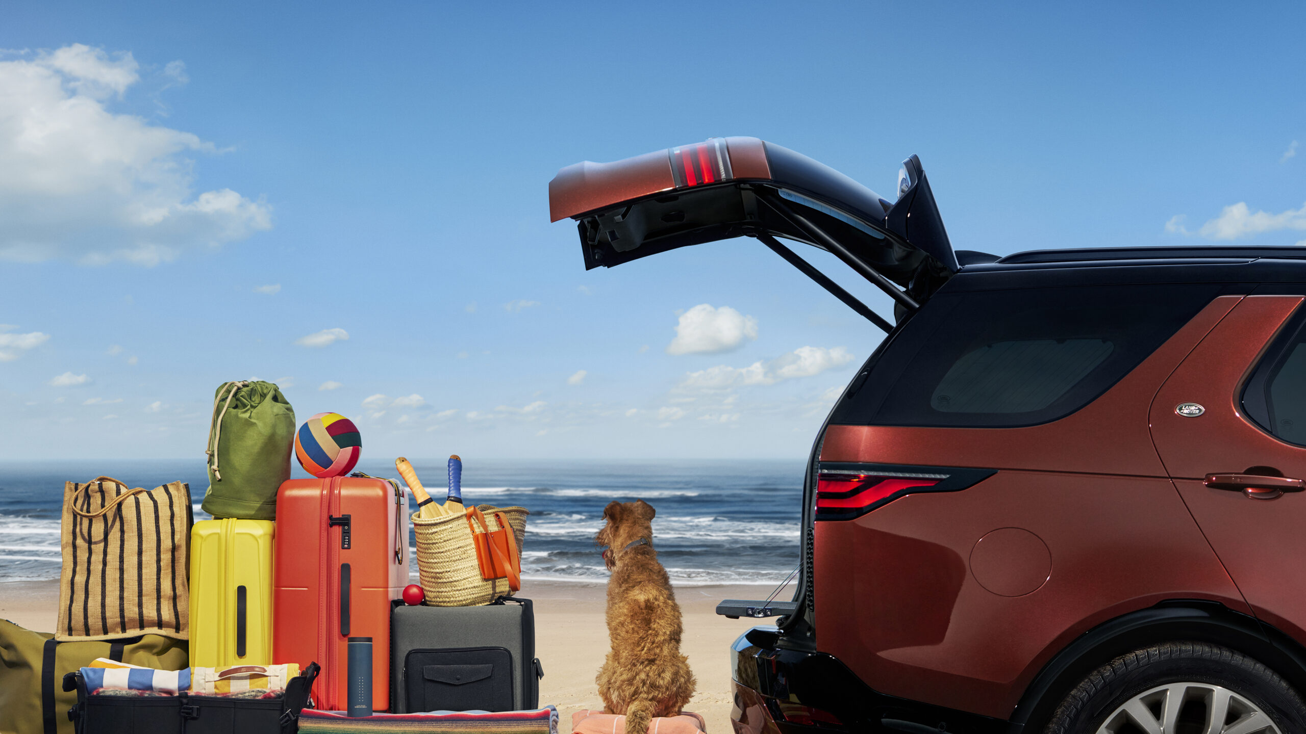 Dog at the back of the Land Rover discovery Gemini