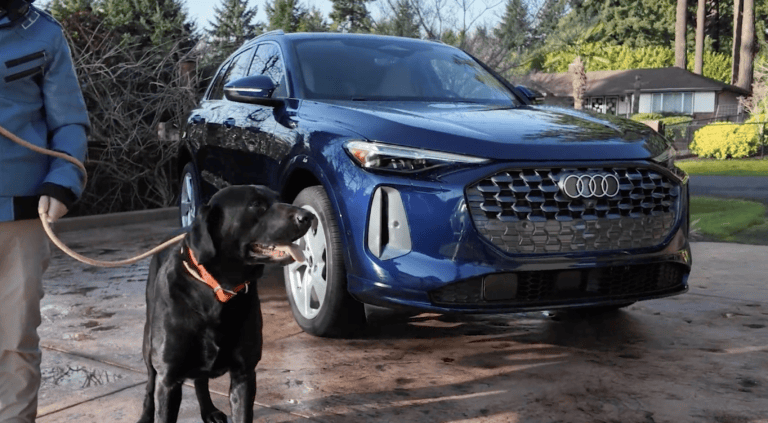 2026 Audi Q5 with Bill the Dog