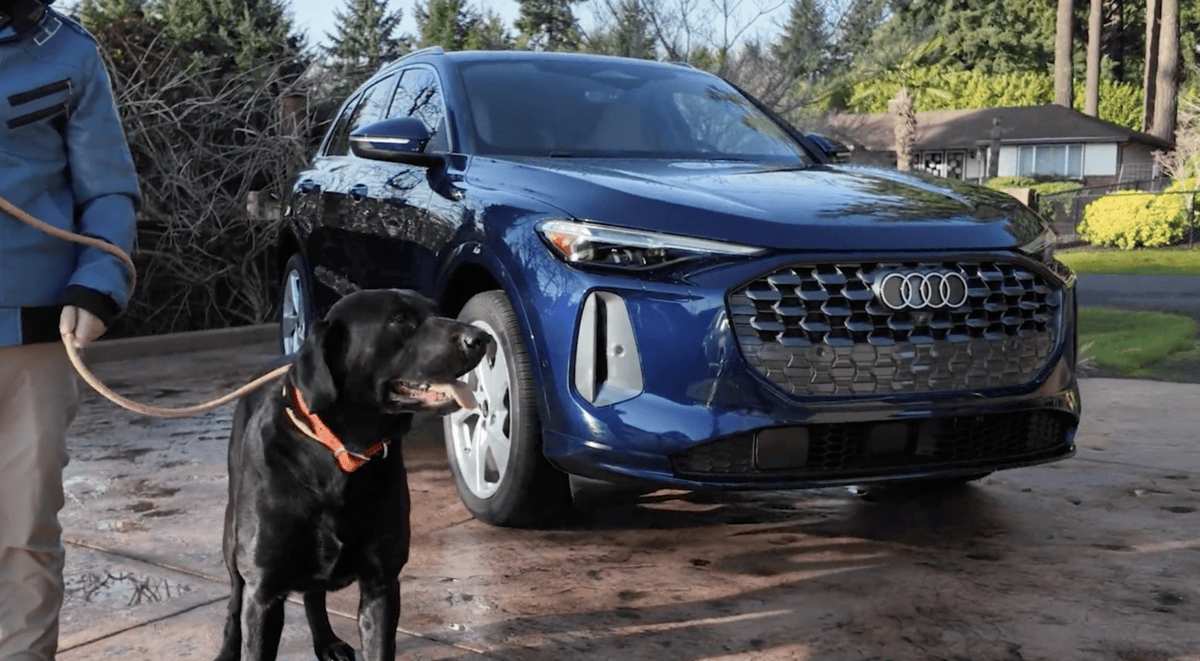 2026 Audi Q5 with Bill the Dog