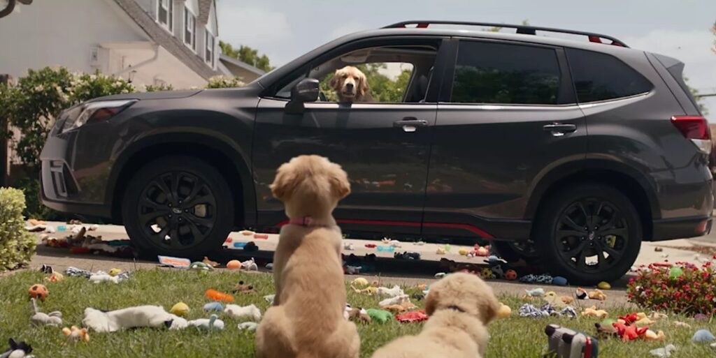 Subaru Loves Pets